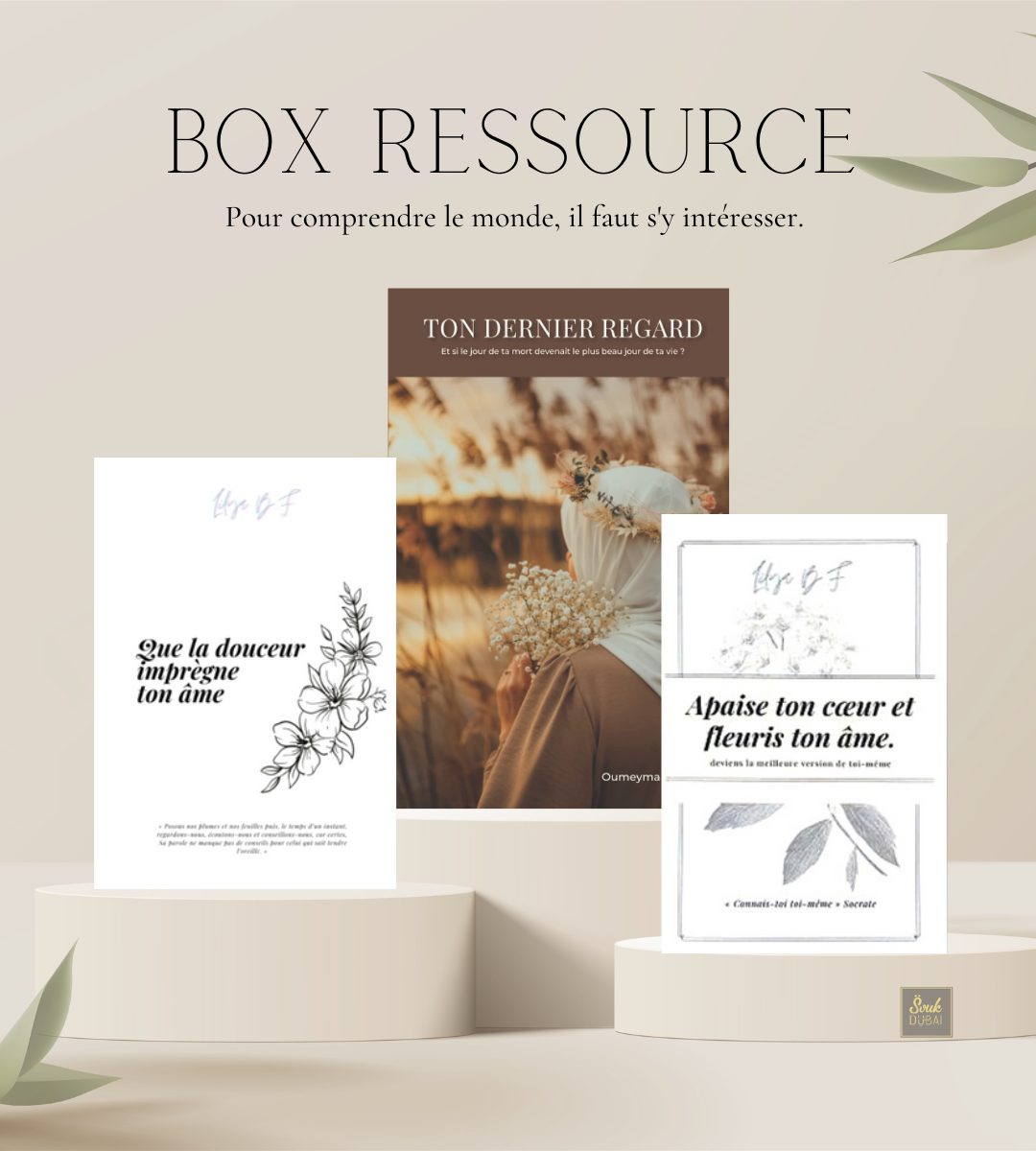 Box Ressource – souk-dubai
