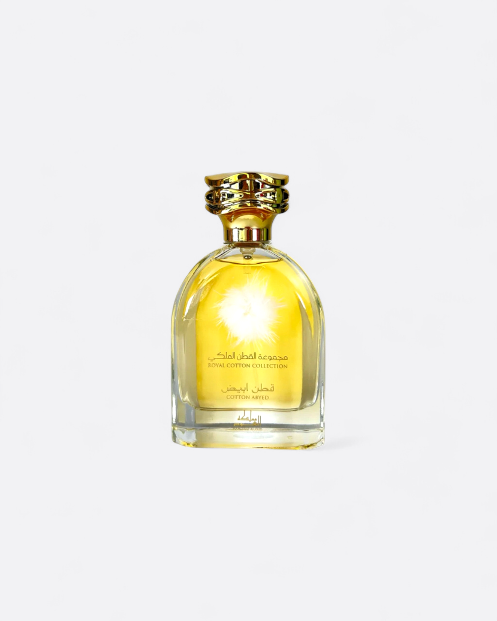Eau de parfum - COTTON ABIYAD - Mamlakat Al Oud – senteur douce et persistante aux accents d'Orient