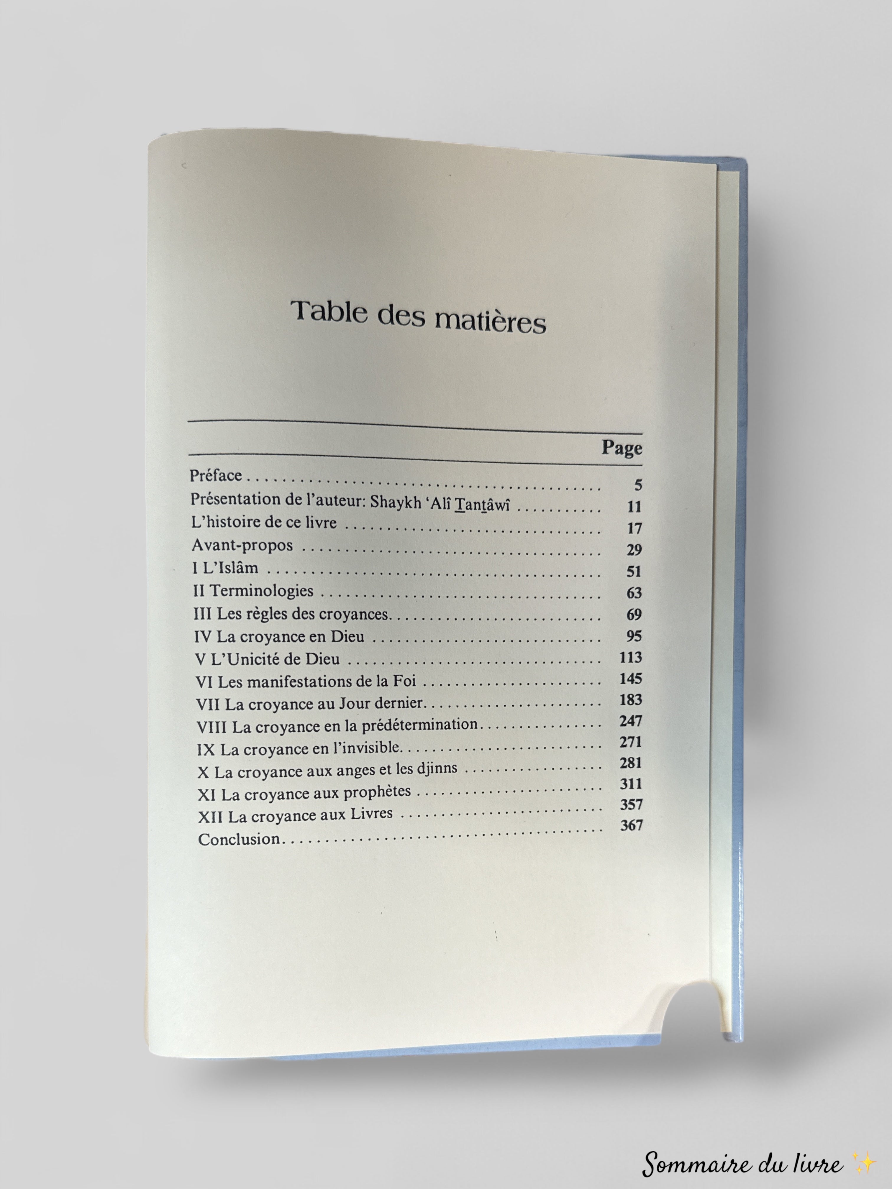 Connaître l'Islam - Ali Tantawi - Edition Al Manara / Dar Ibn Hazm