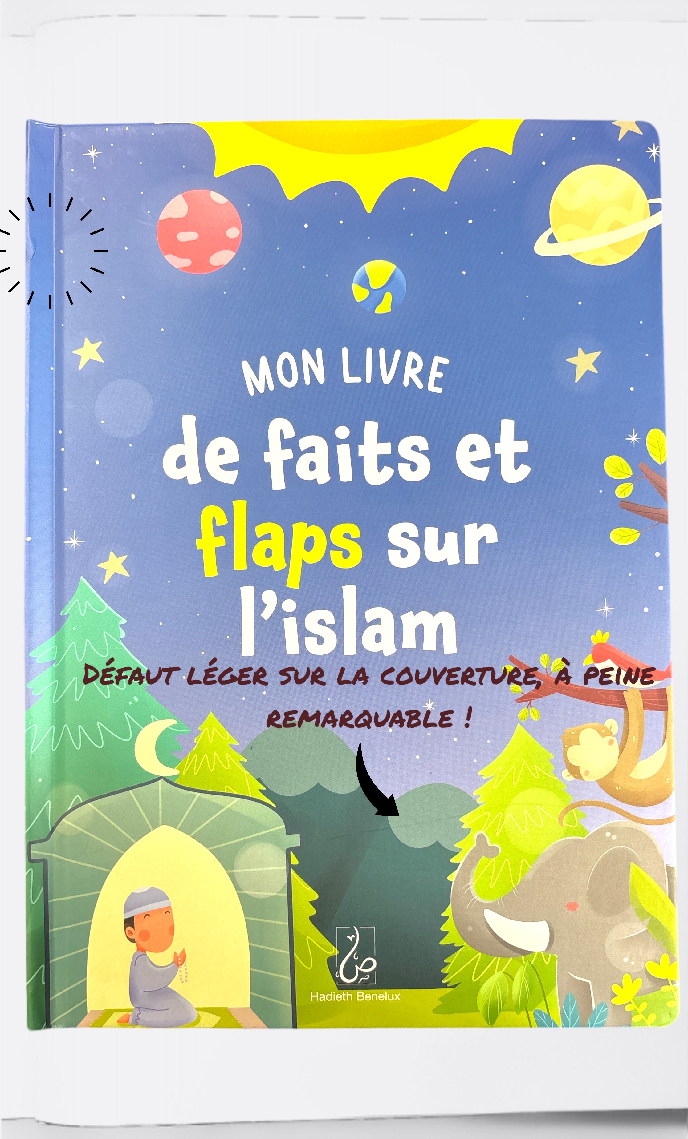 Mon Livre de Faits et Flaps sur l'Islam - Edition Hadieth Benelux