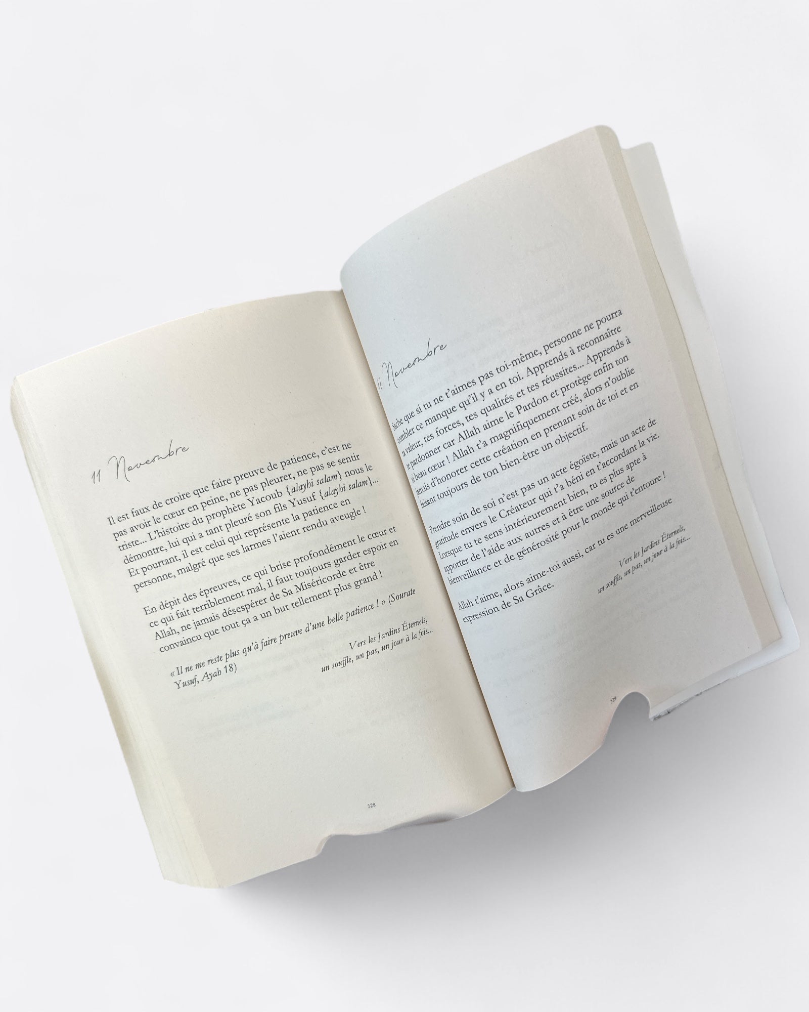 Extrait du livre : Vers les Jardins éternels : Un souffle, un pas, un jour à la fois - Yasmin Fleur – produit proposé sur Souk Dubaï