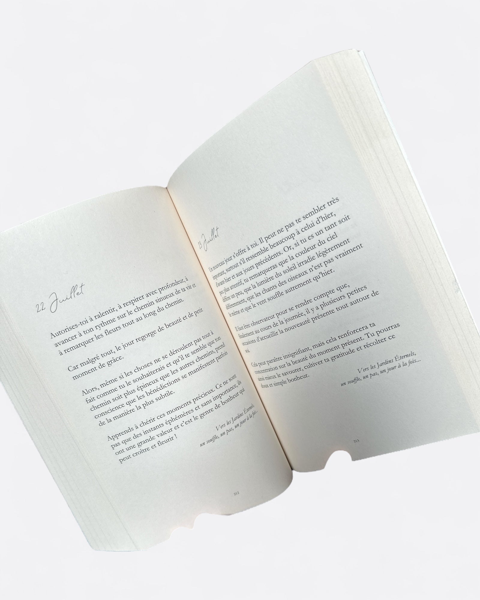 Vers les Jardins éternels : Un souffle, un pas, un jour à la fois - Yasmin Fleur