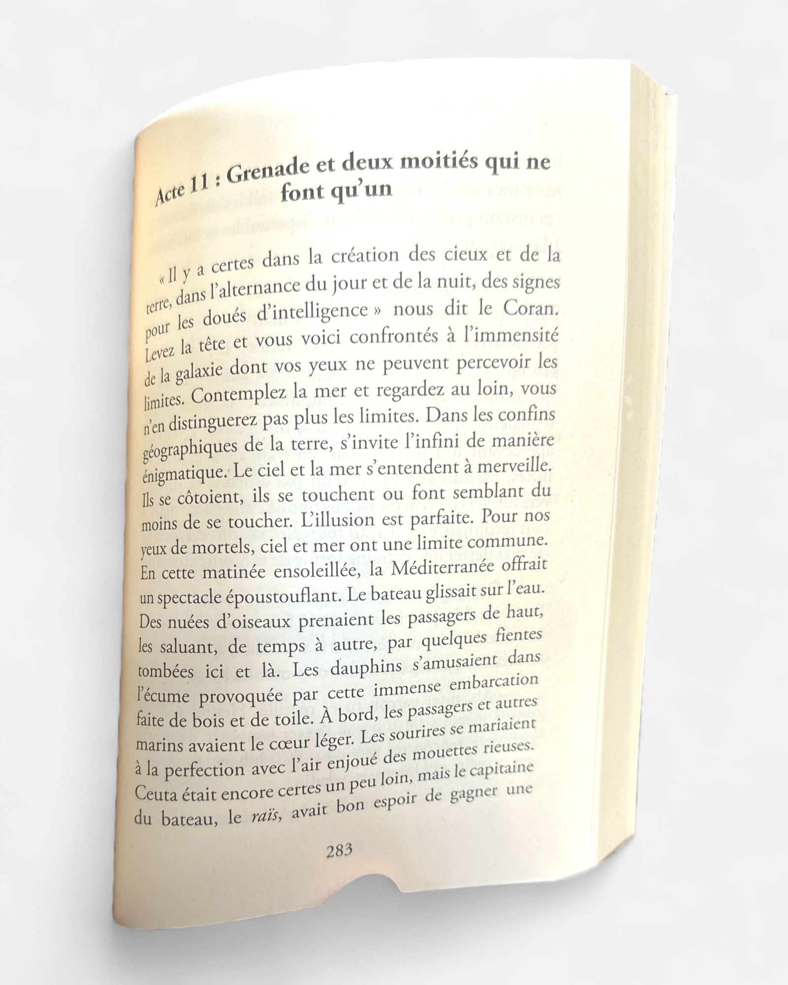 Saladin et Nour | Tome 4 : Lyess Chacal - Edition Oryms