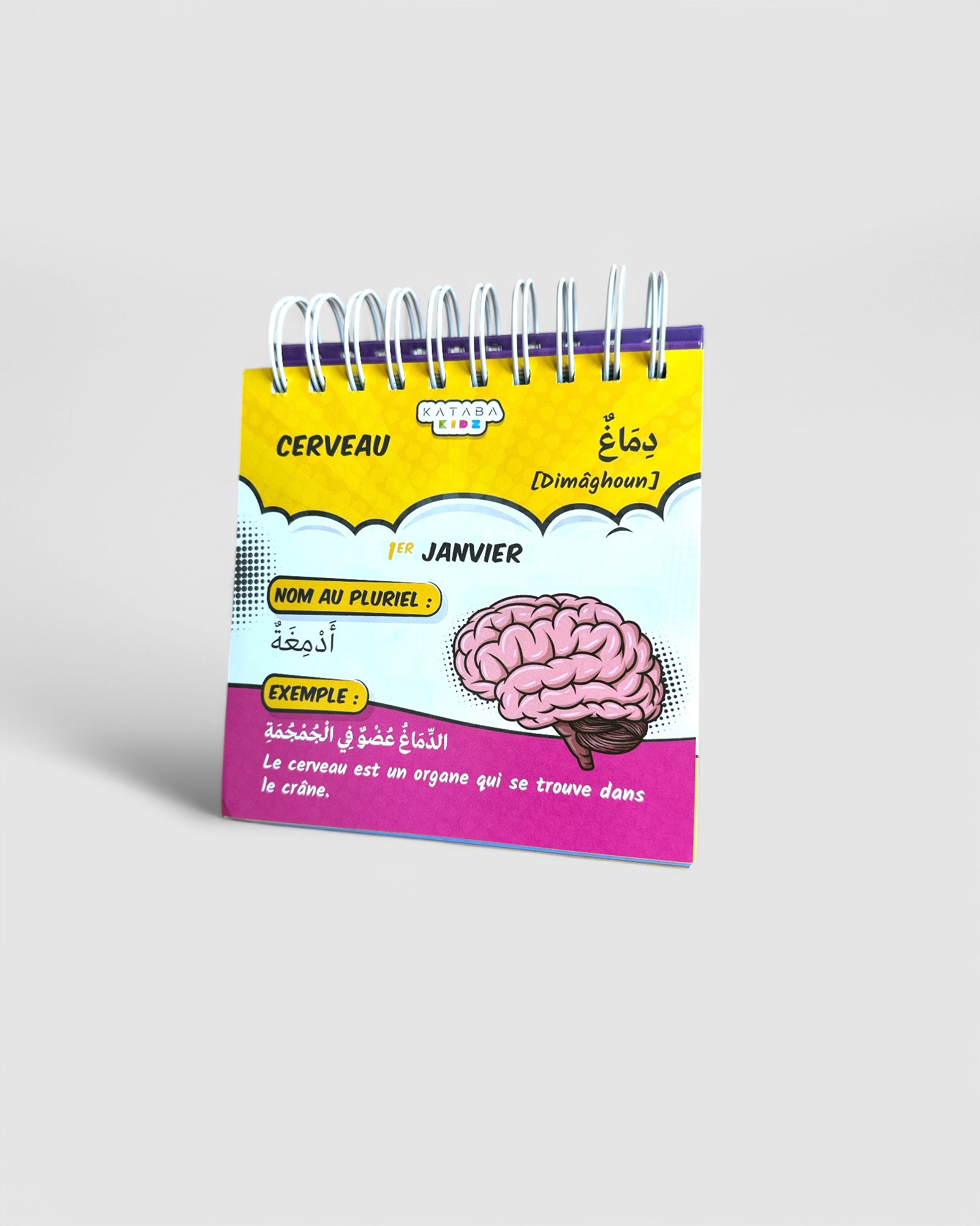 Chevalet / Calendrier : Le mot du jour (Arabe - Français) - Edition Kataba Kids