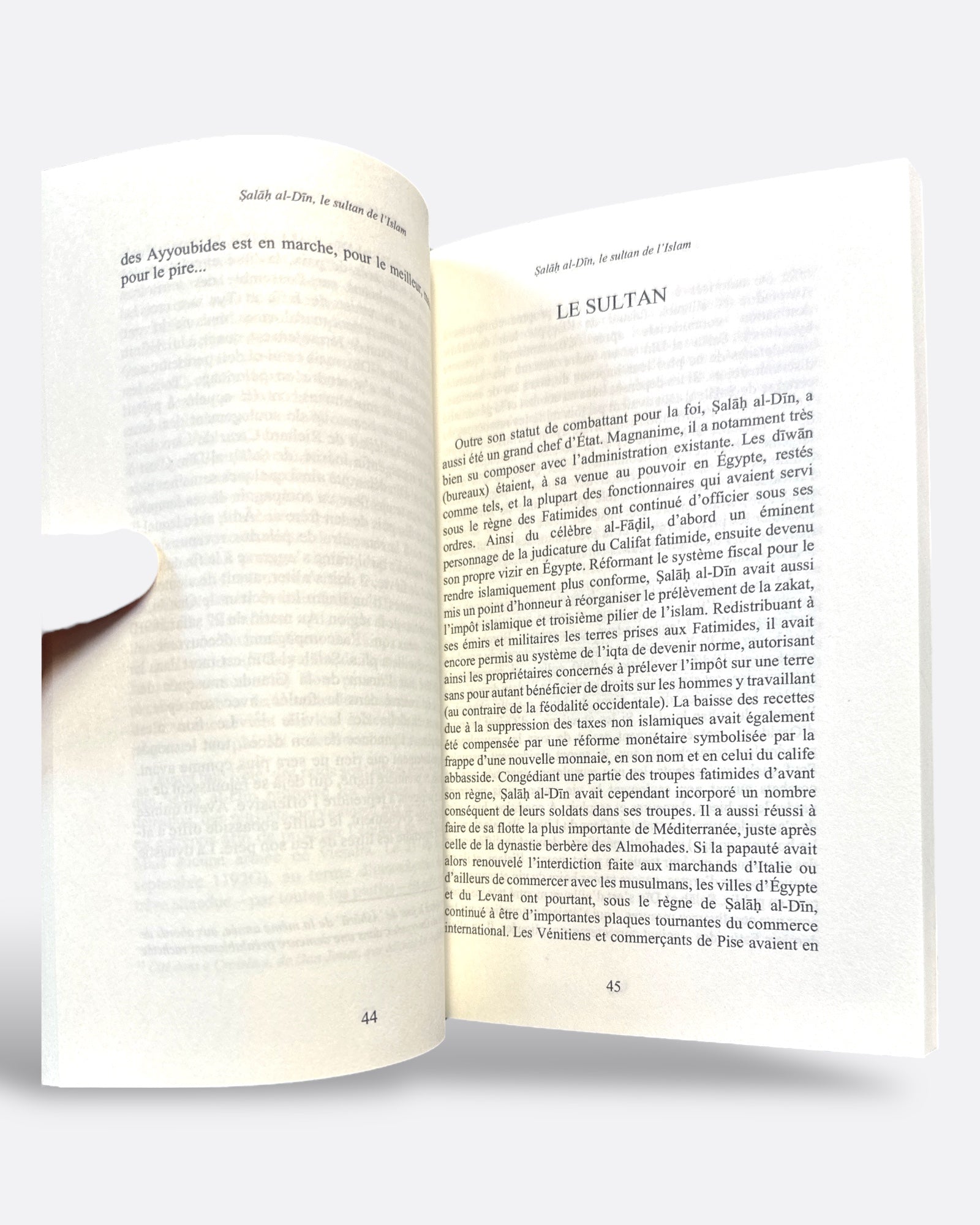 Extrait - Salah Al-Din : Le Sultan de l'Islam - Renaud K. - Edition Sarrazins