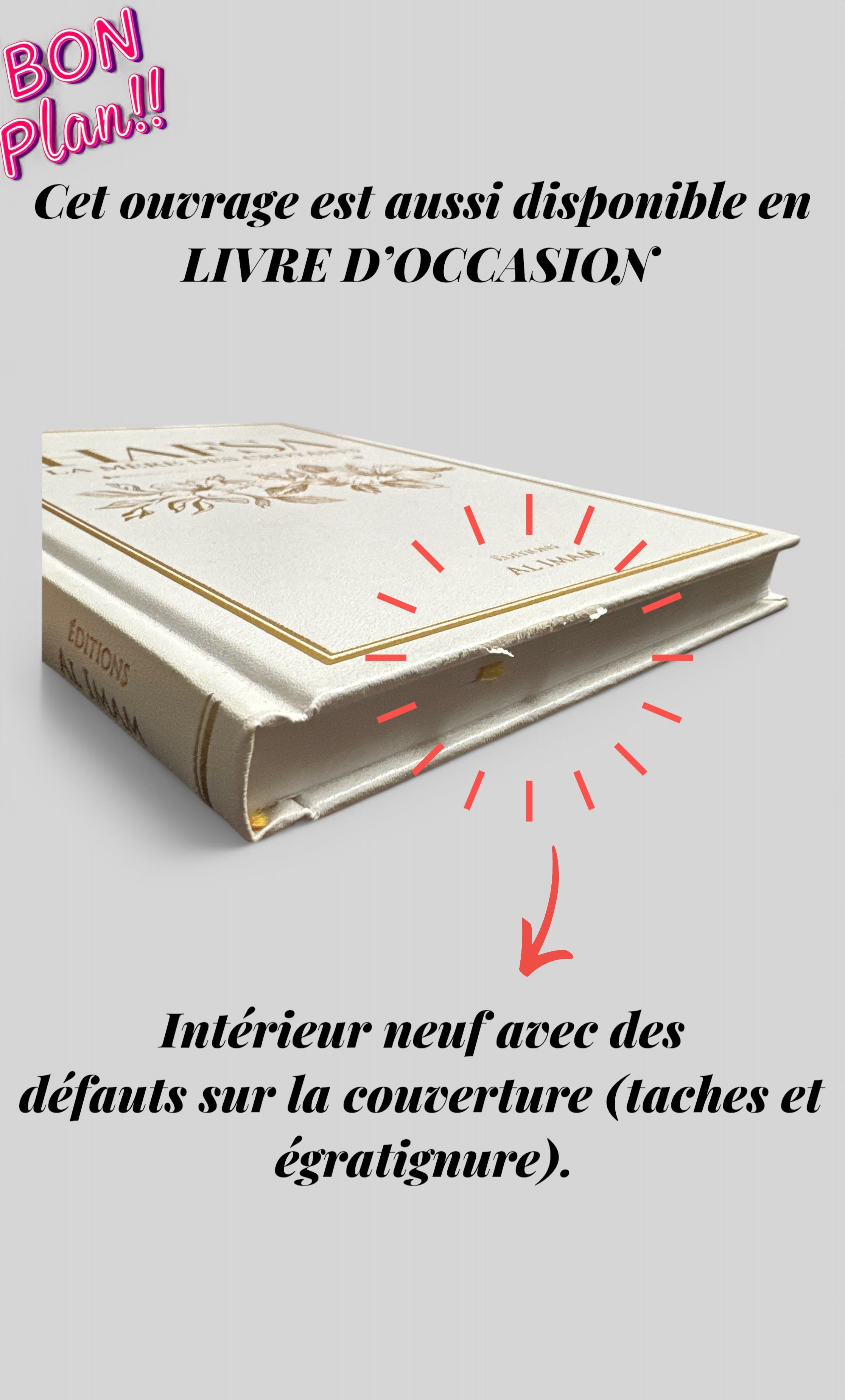 Hafsa : La Mère des Croyants - Aminah Al-Kharrat