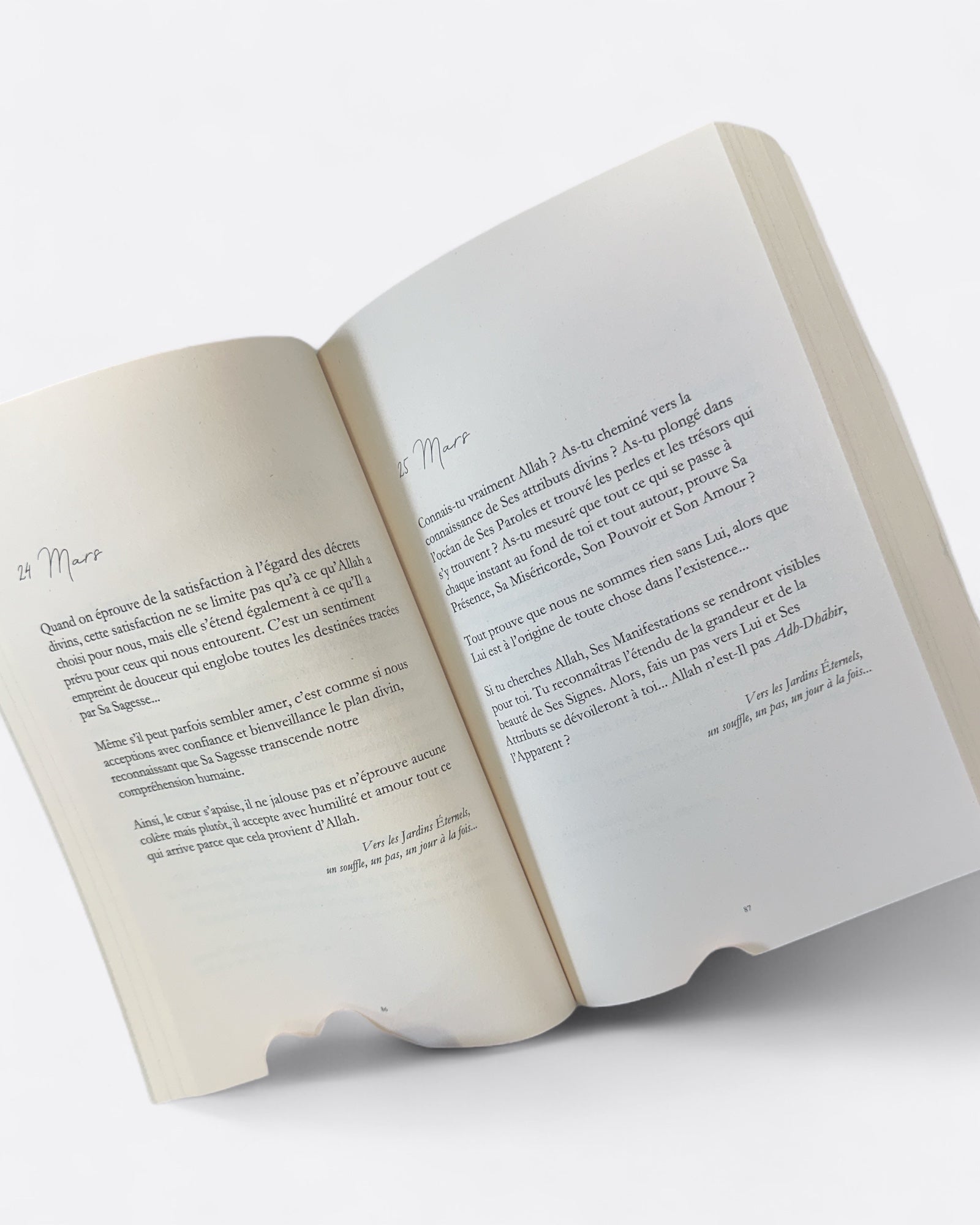 Vers les Jardins éternels : Un souffle, un pas, un jour à la fois - Yasmin Fleur