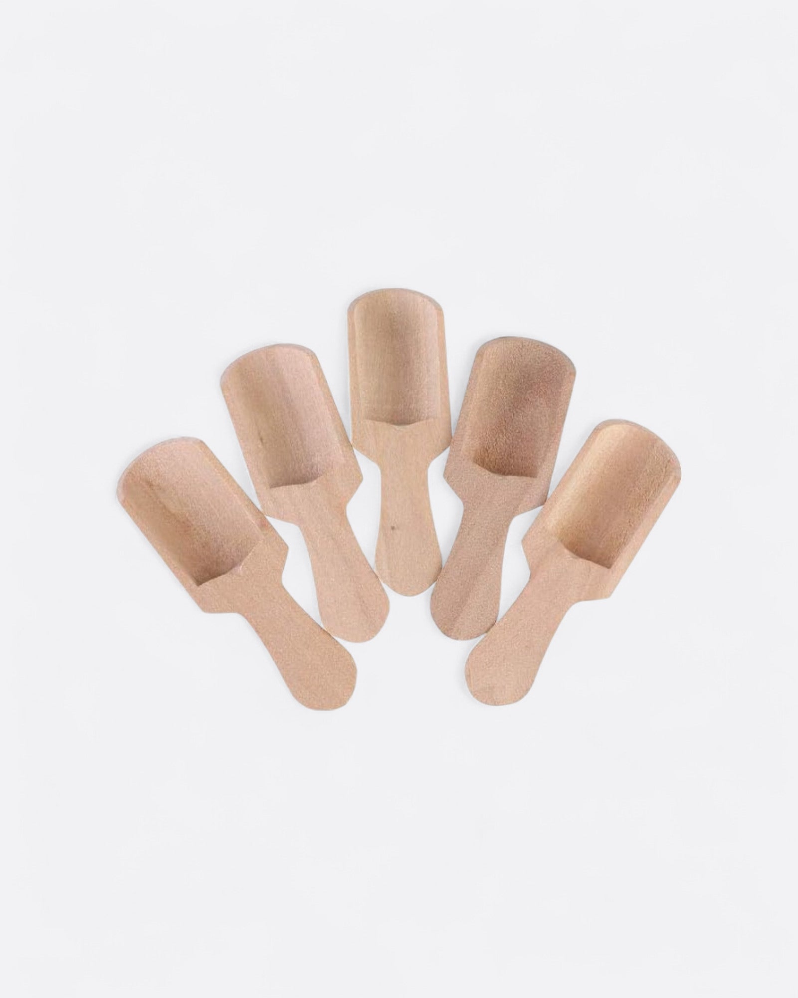 Lot 6 mini cuillères assaisonnement