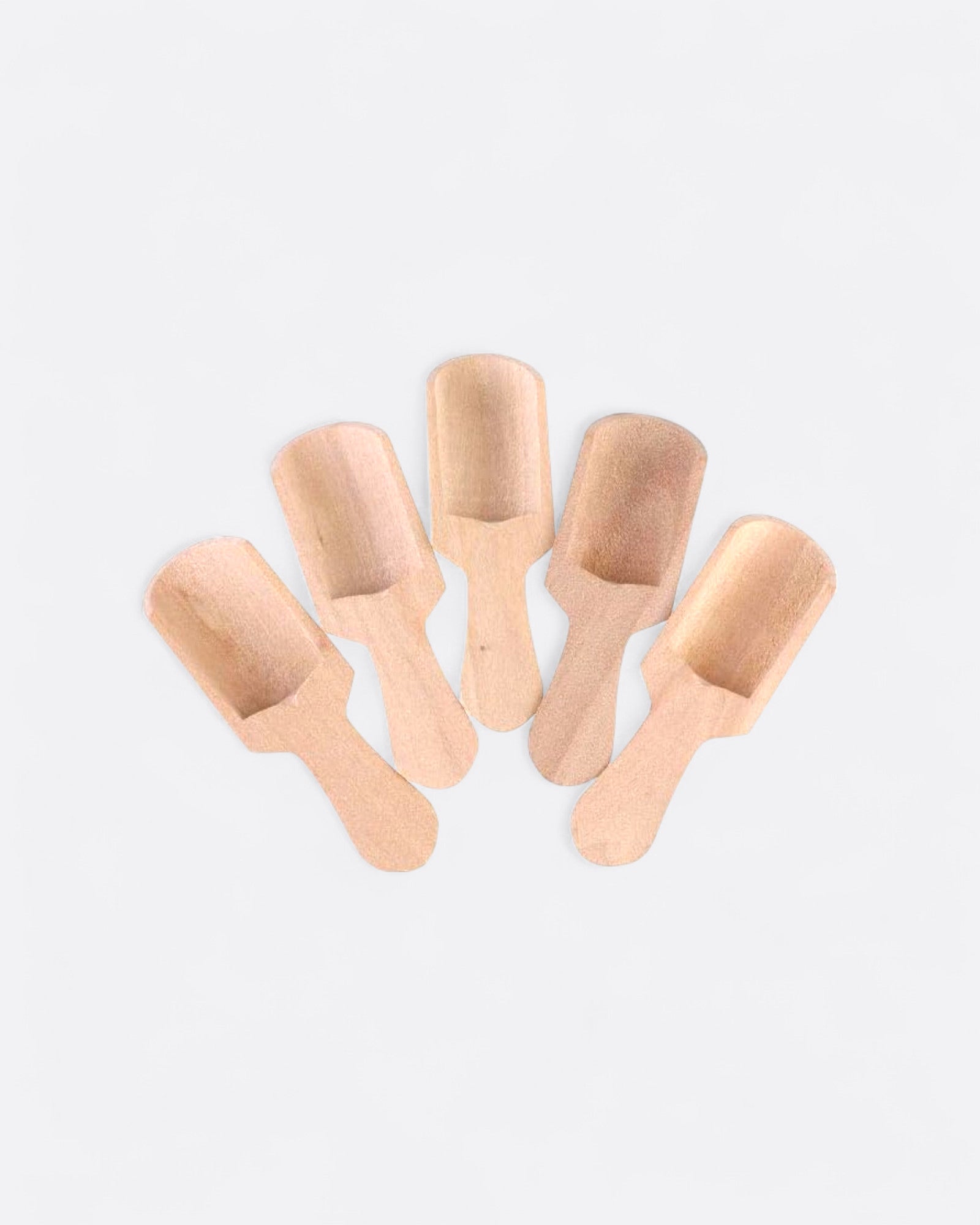 Lot 6 mini cuillères assaisonnement