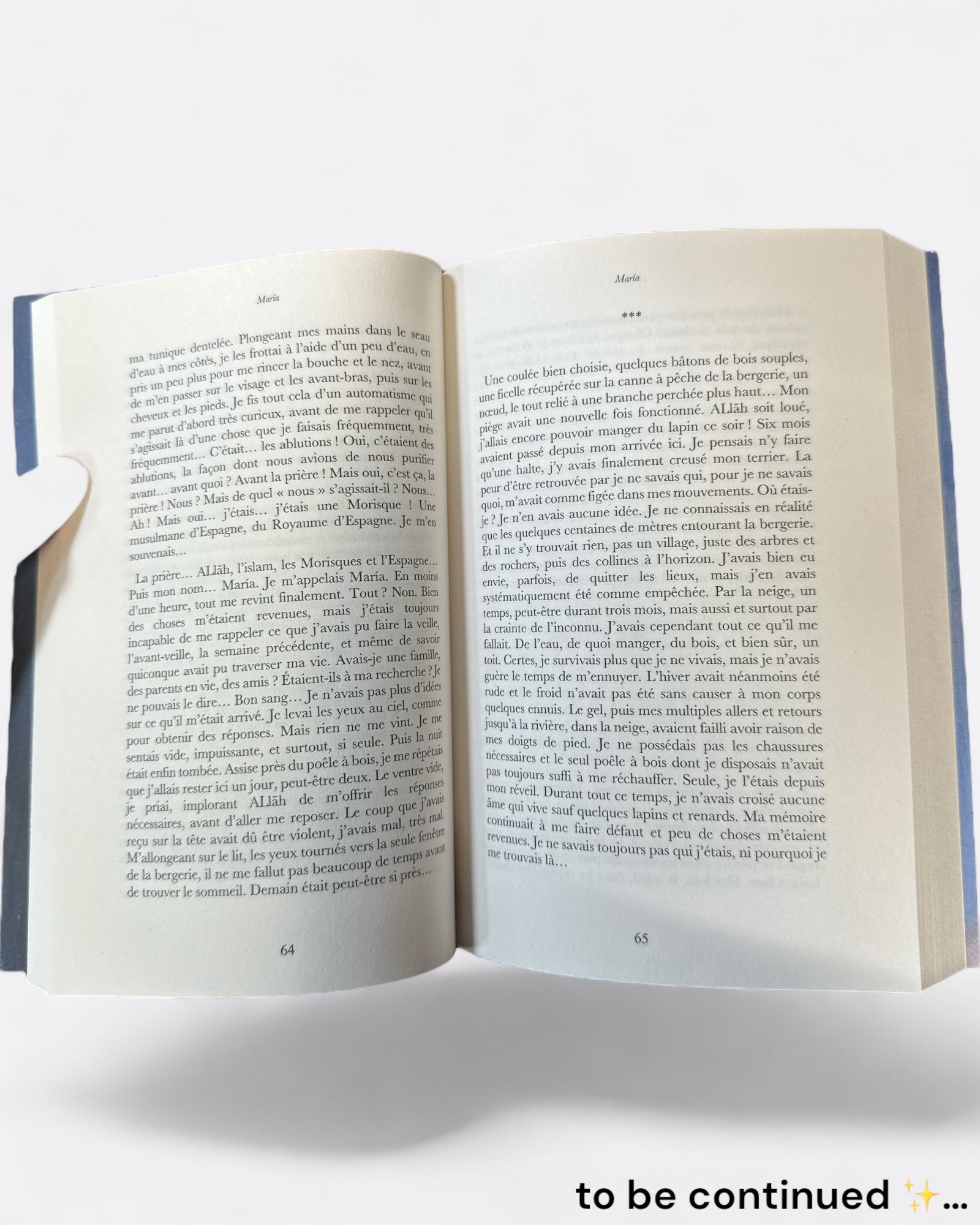 Extrait du livre /
Maria : Une Morisque dans l'Enfer de l'Espagne Catholique - Renaud K. - Edition Sarrazins