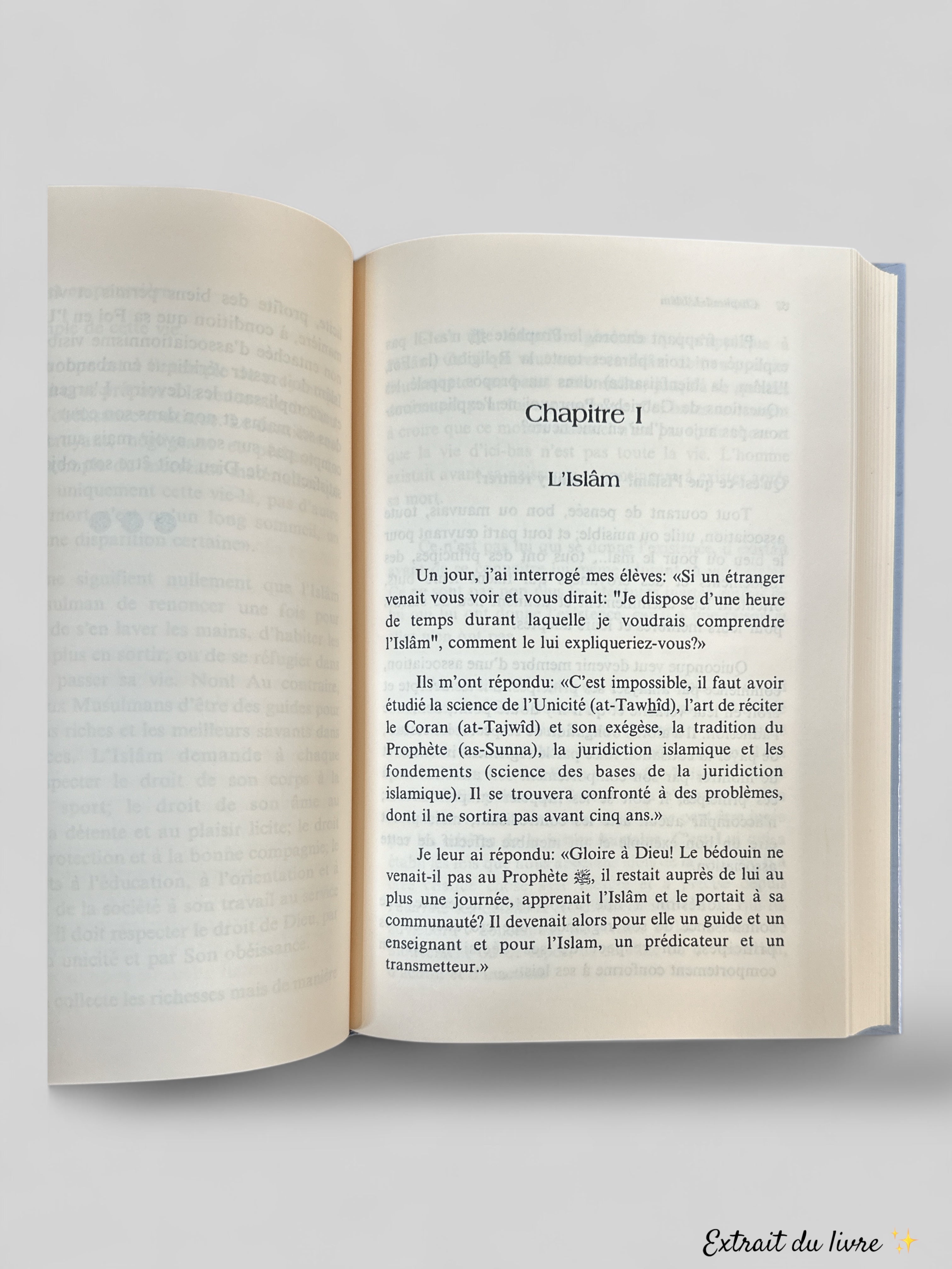 Connaître l'Islam - Ali Tantawi - Edition Al Manara / Dar Ibn Hazm