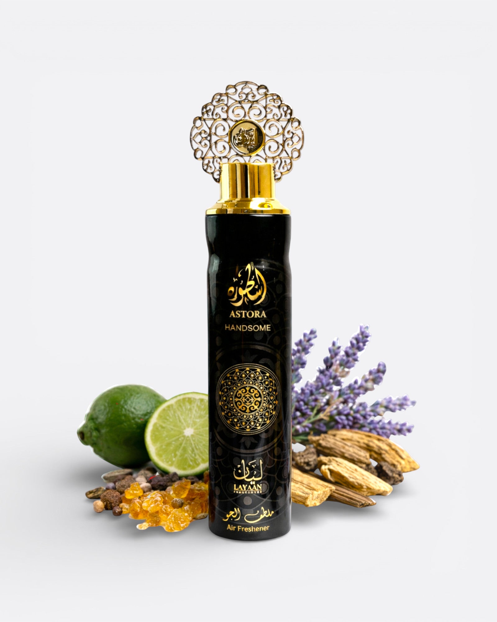 ASTORA handsome - Désodorisant d'intérieur 300 ml - LAYAAN