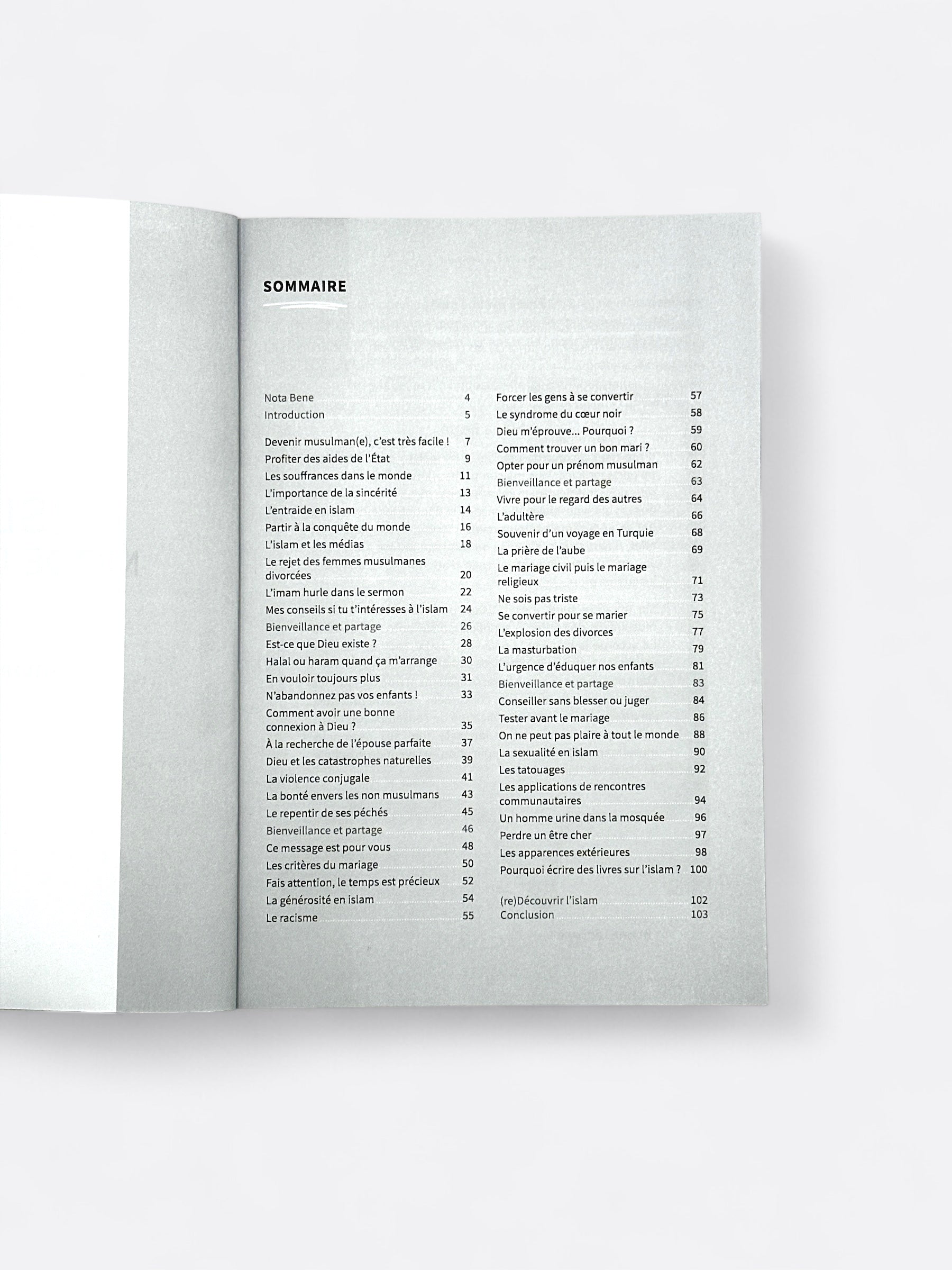 Islam, mode d'emploi - Philippe Jolly