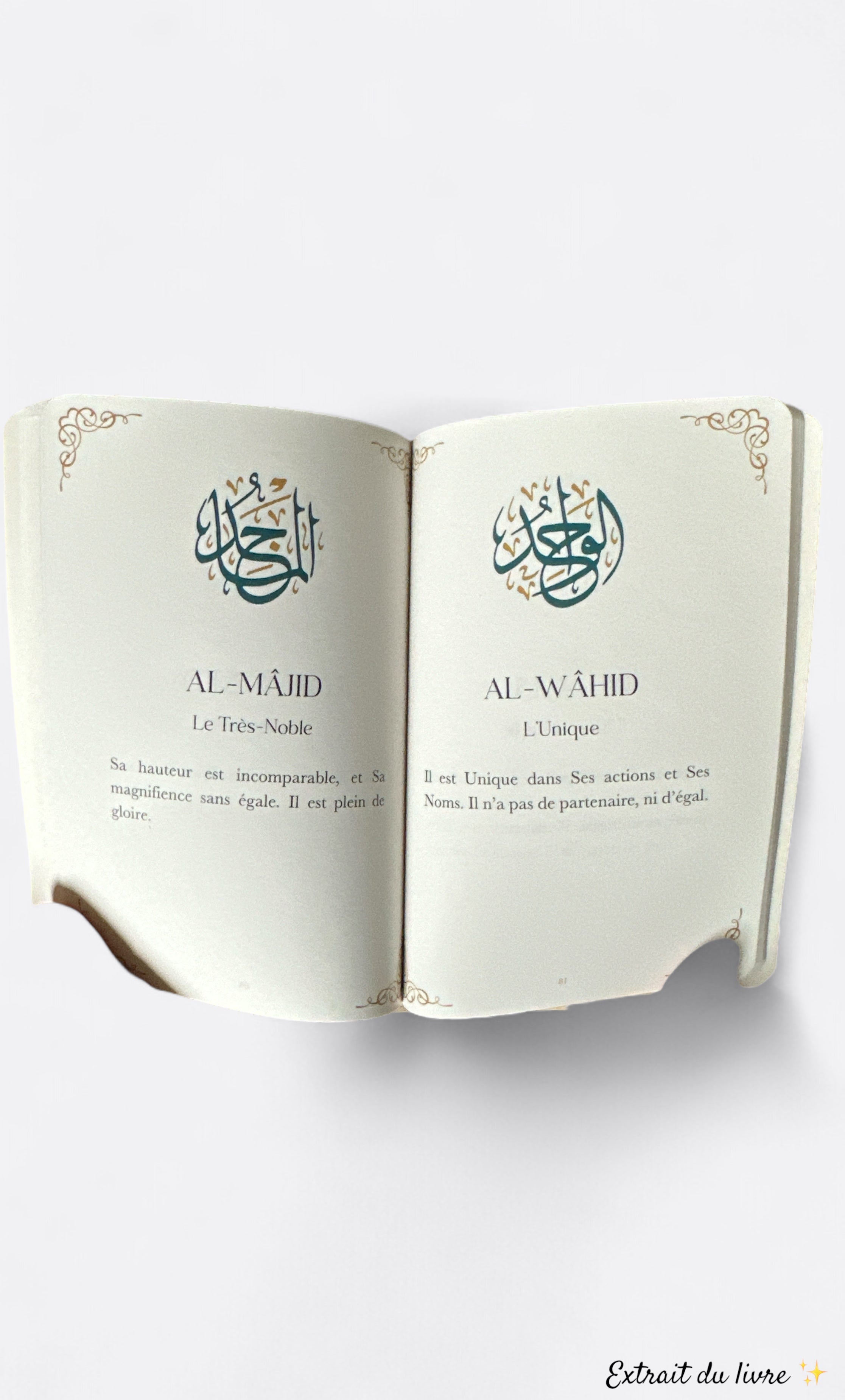 Les 99 Plus Beaux Noms d'ALLAH ﷻ - Édition Firdaws