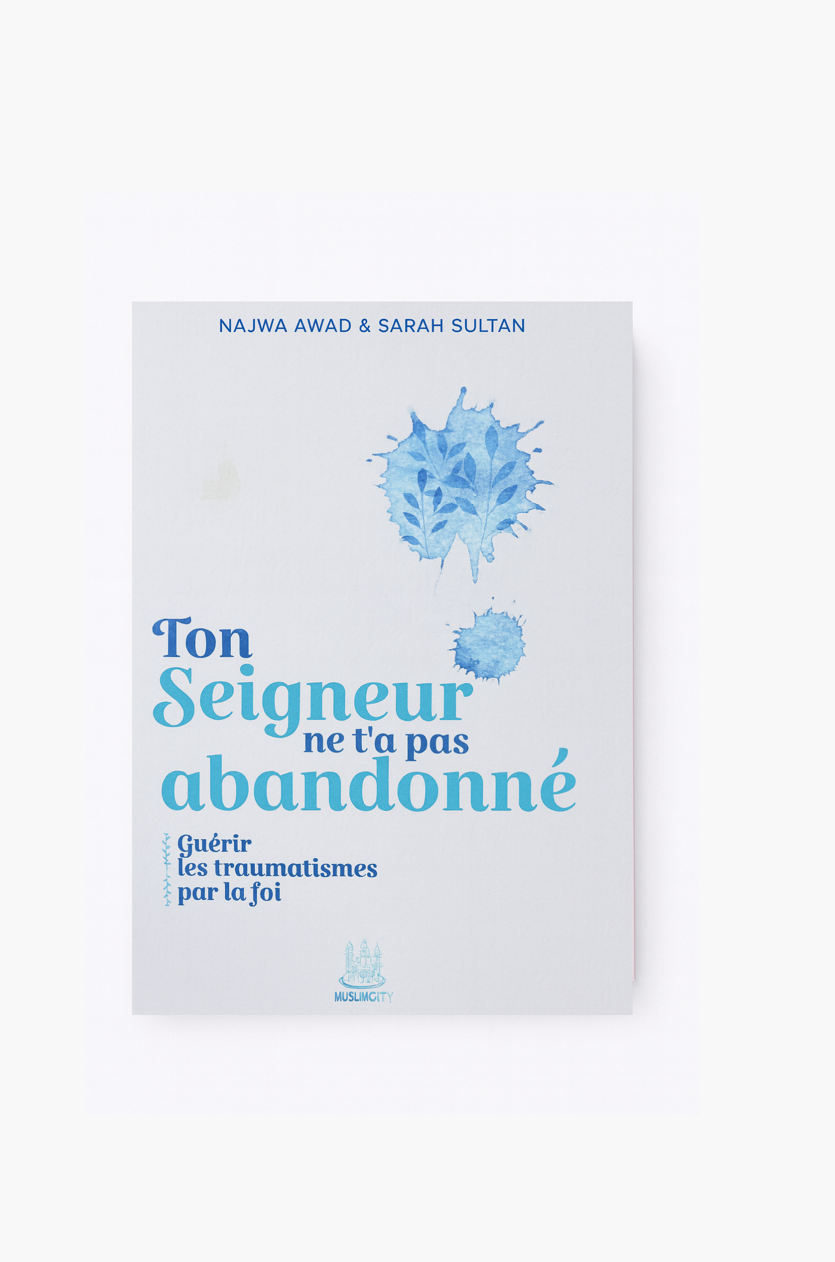 Ton seigneur ne t'a pas abandonné - N.AWAD & S.SULTAN