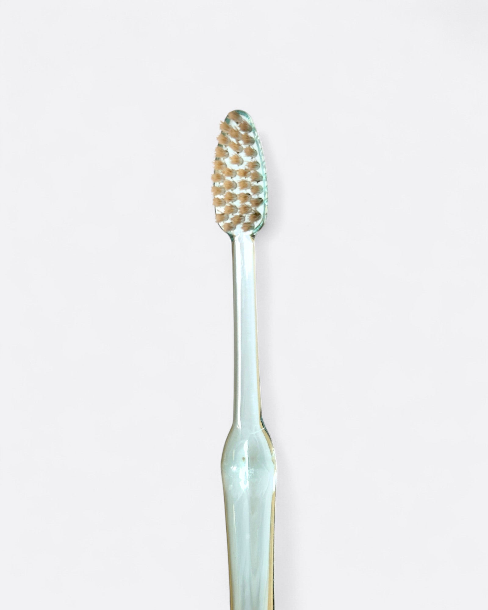 Brosse à dent au siwak - Manche transparent