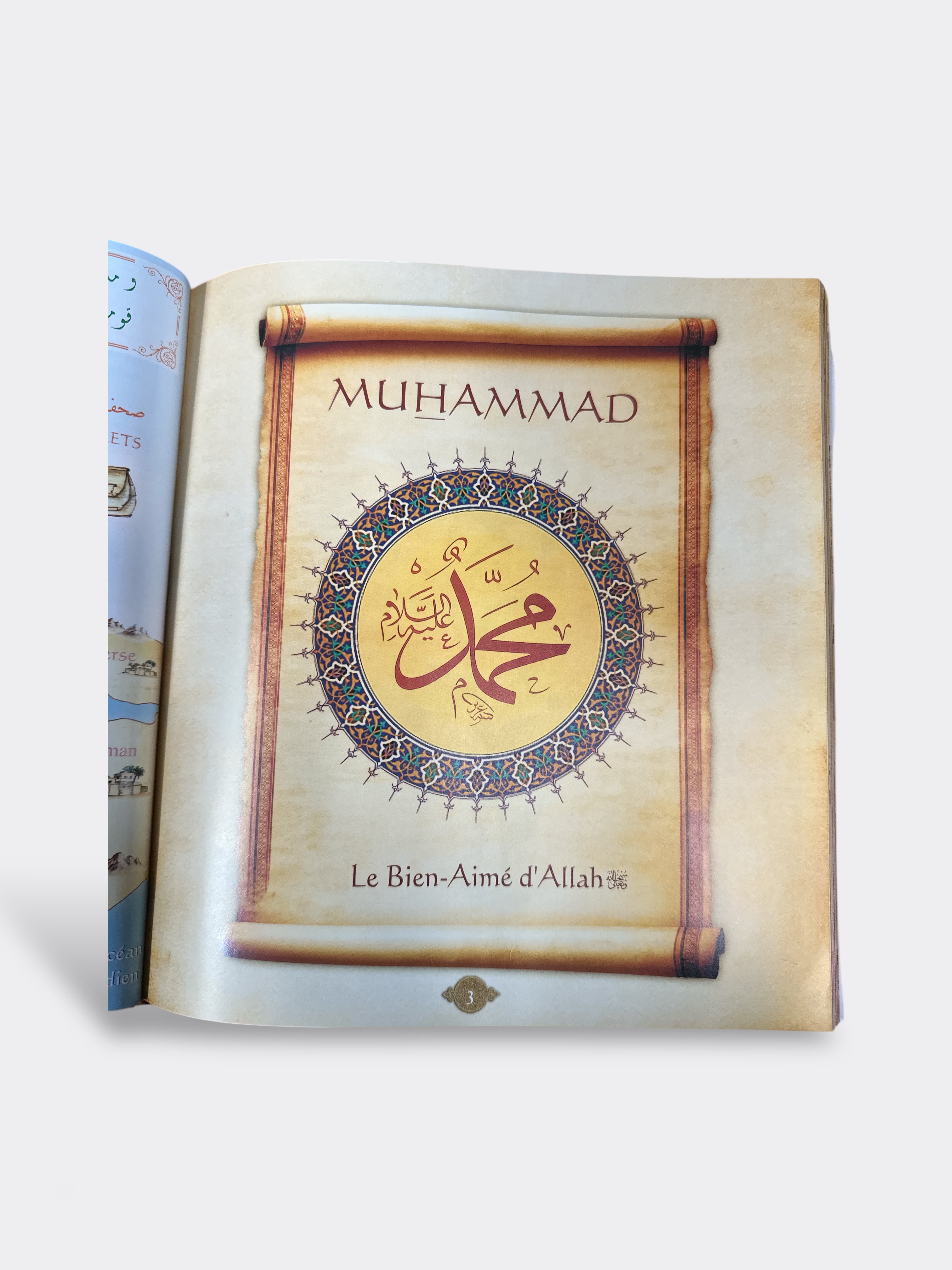 Histoires des Prophètes Racontées par le Coran