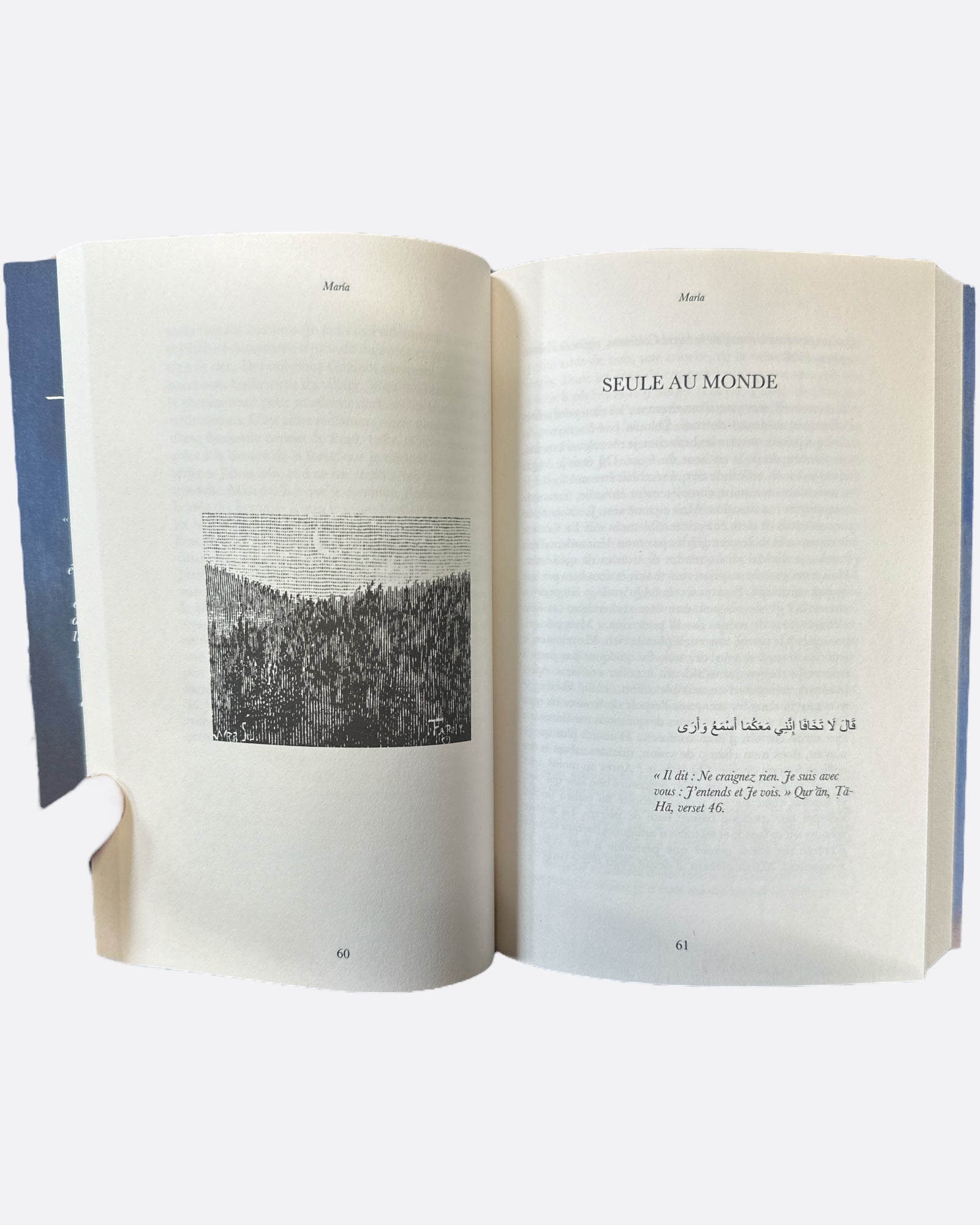 Maria : Une Morisque dans l'Enfer de l'Espagne Catholique - Renaud K. - Edition Sarrazins