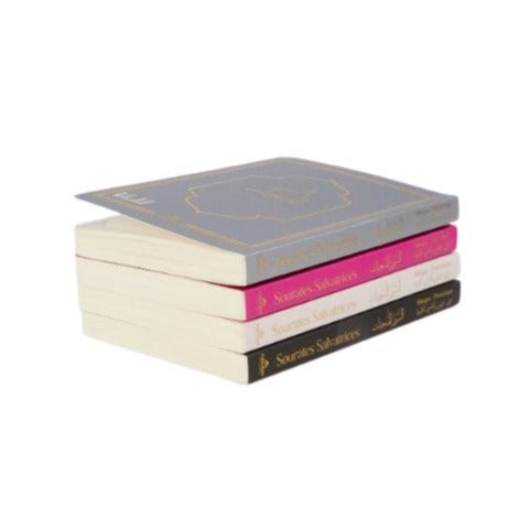 Les Sourates salvatrices et d'autres versets protecteurs - (FR-AR) Phonétique - Édition Firdaws – produit proposé sur Souk Dubaï