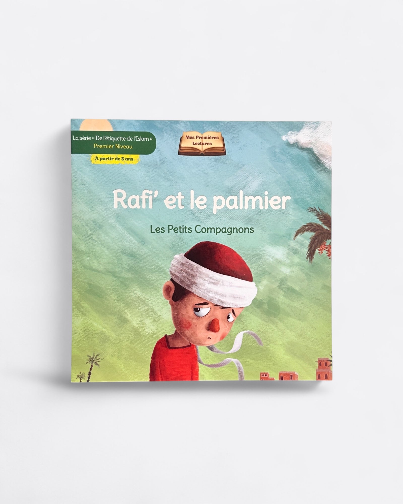 Coffret livres : Les Petits Compagnons | 6 livres (dès 5 ans) - Edition Digital Future - Histoire de Rafi’