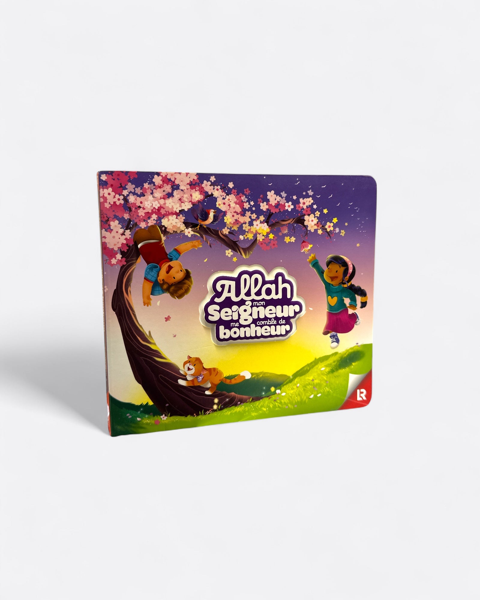 Allah mon Seigneur me comble de bonheur - Souleyman S.