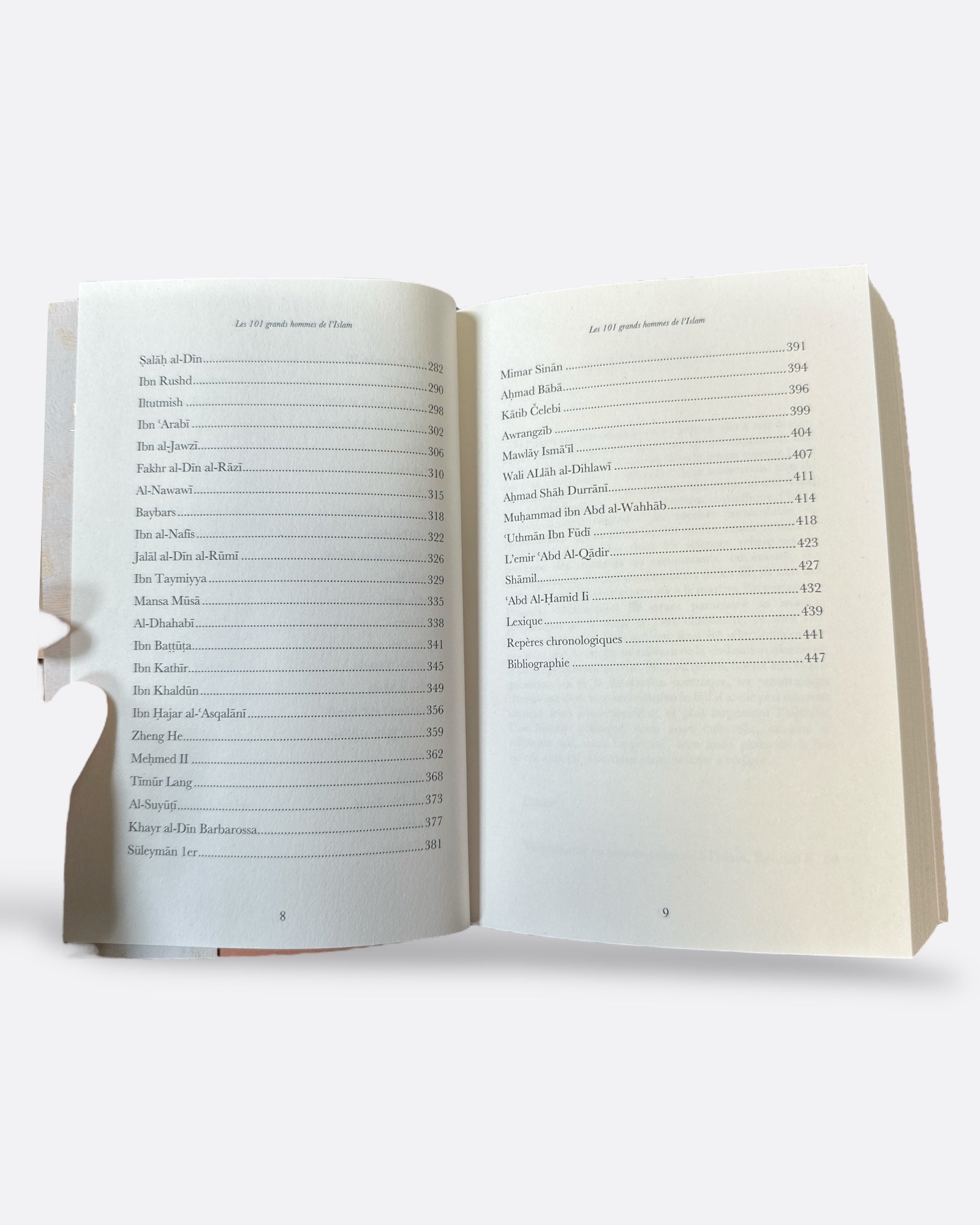 101 Grands Hommes de l'Islam - RENAUD K. - Nouvelle Edition : Sarrazins