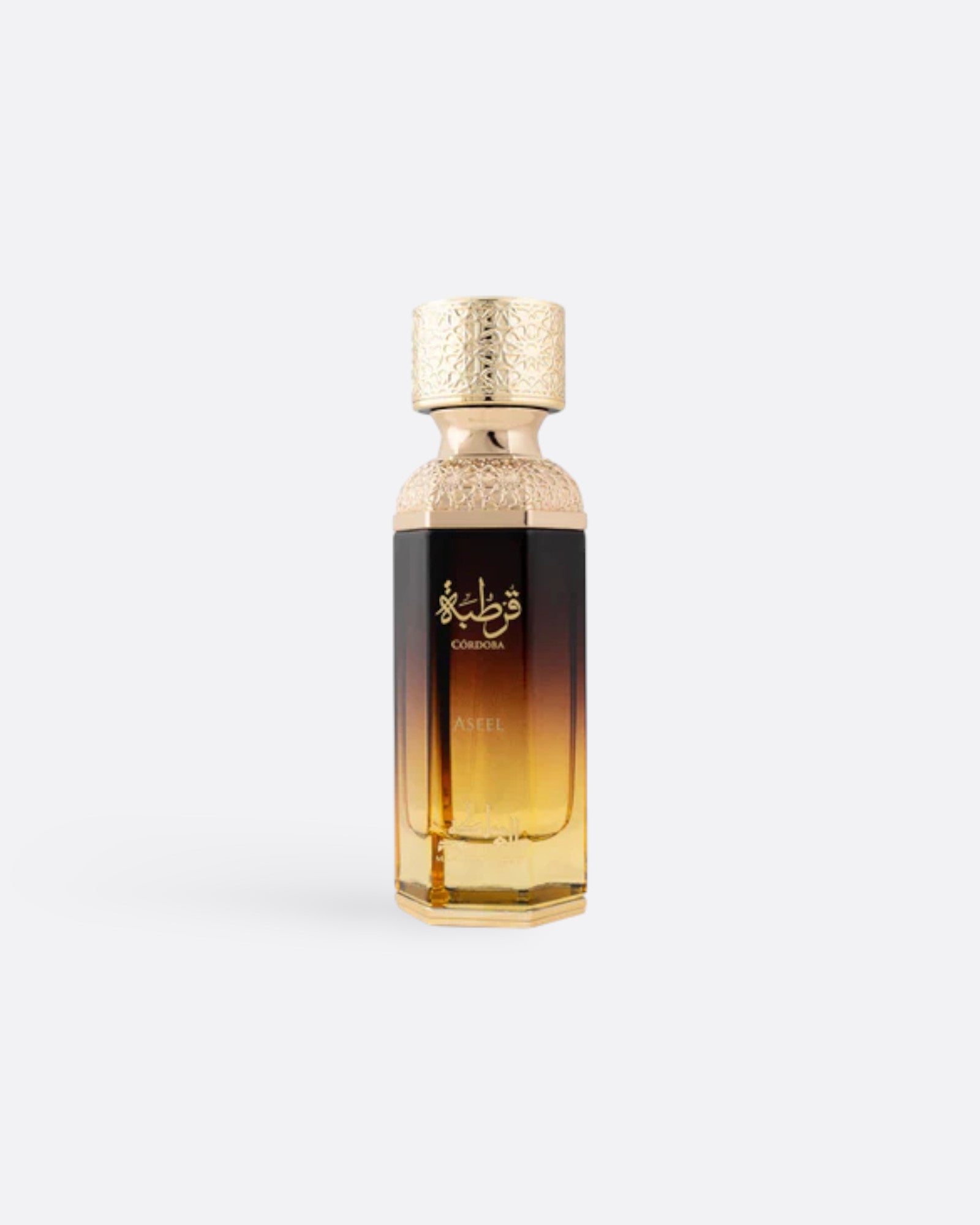 Eau de parfum - CORDOBA Aseel - Mamlakat Al Oud 100 ml