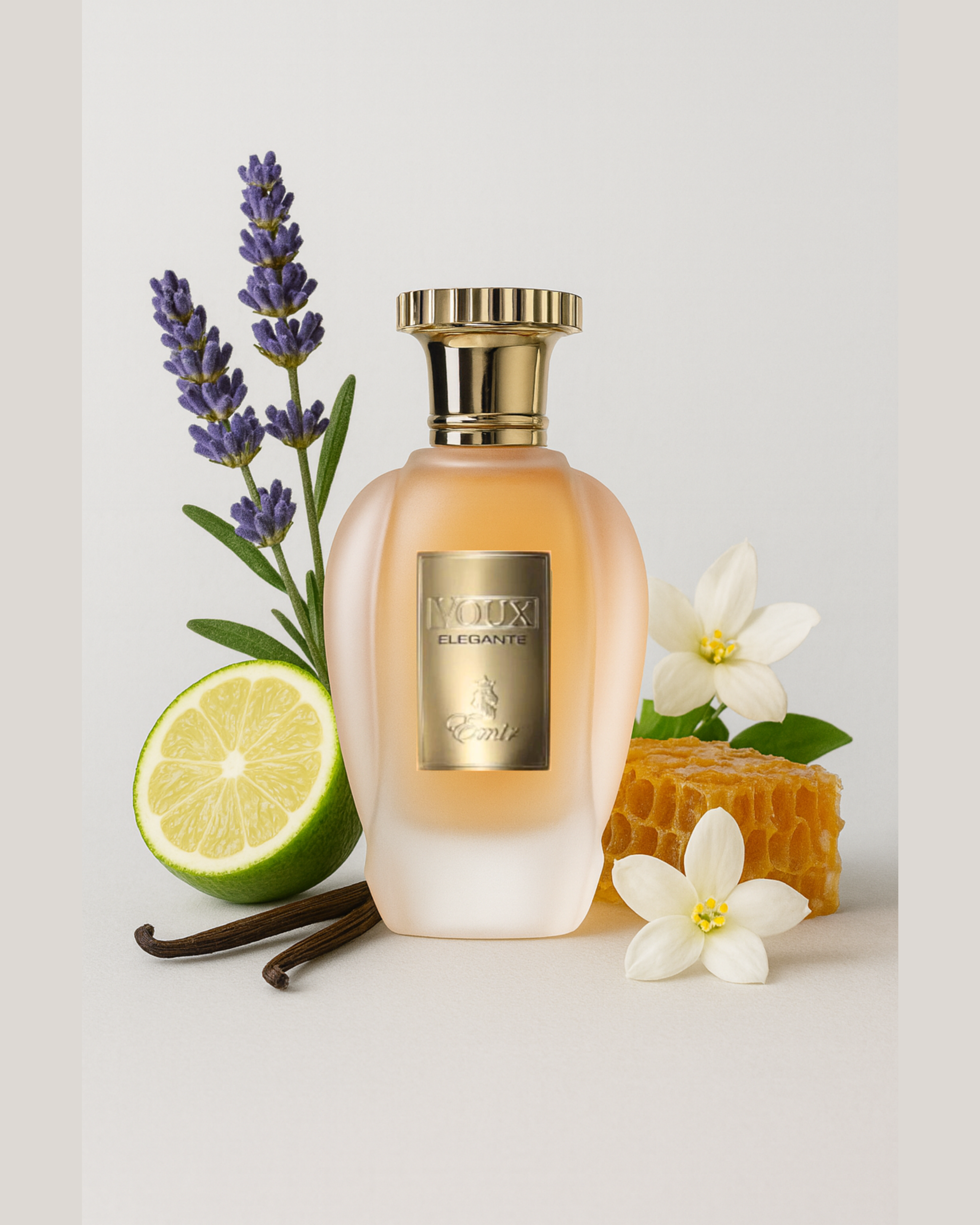 Eau de parfum - VOUX Elegante - PARIS CORNER Amir 100 ml