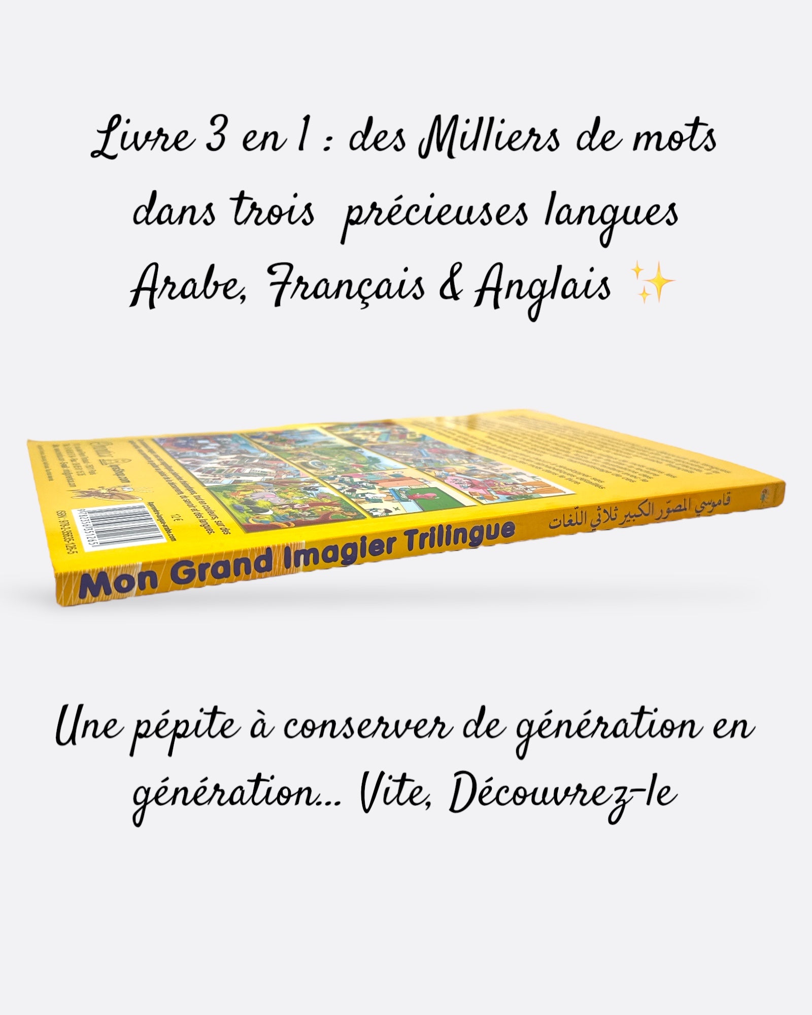Mon Grand Imagier trilingue (Arabe, Français, Anglais)