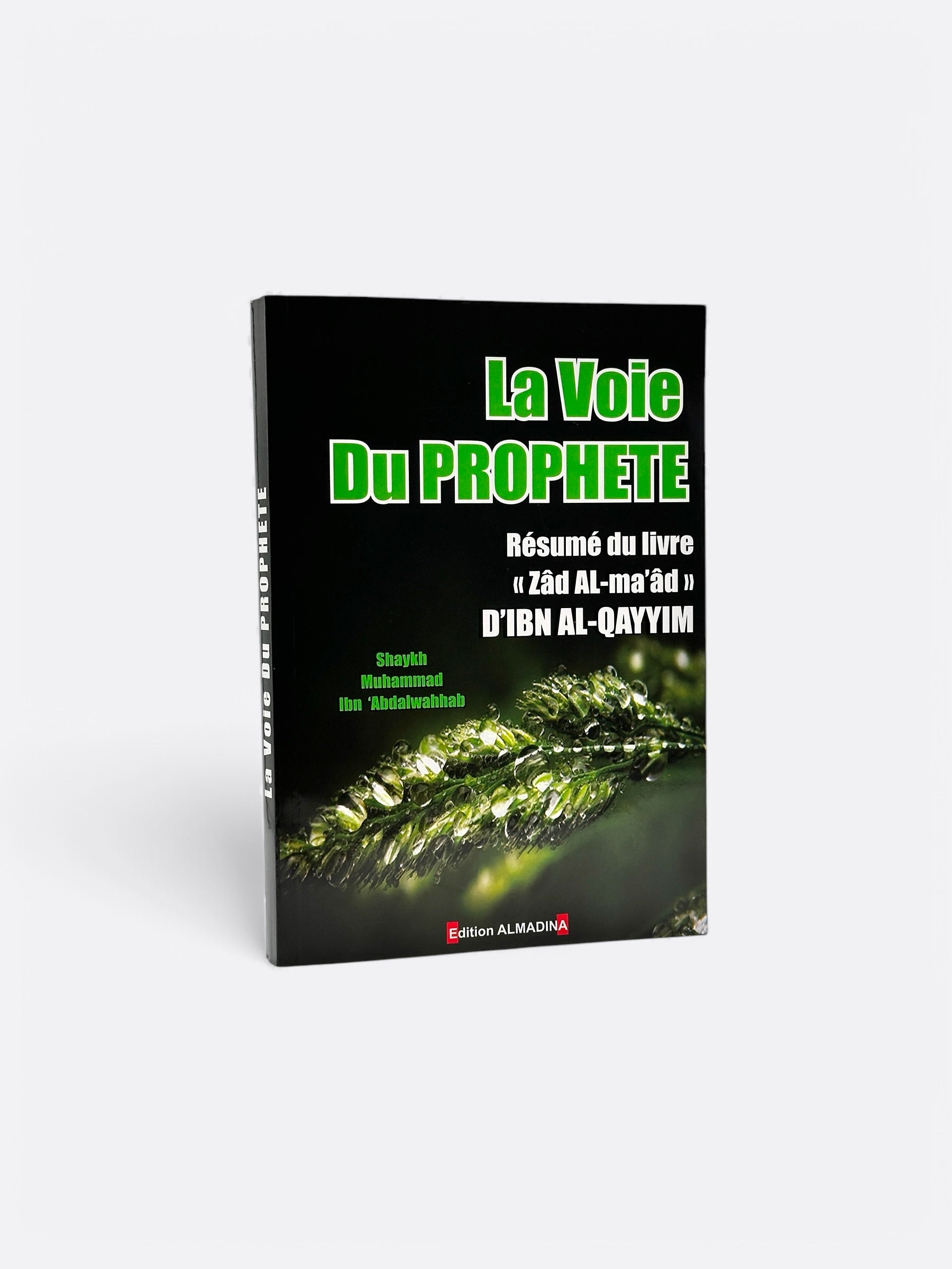 La Voie du Prophète ﷺ : Zâd Al-Ma'âd - Muhammad Abdal Wahhab - Édition Al Madina – produit proposé sur Souk Dubaï