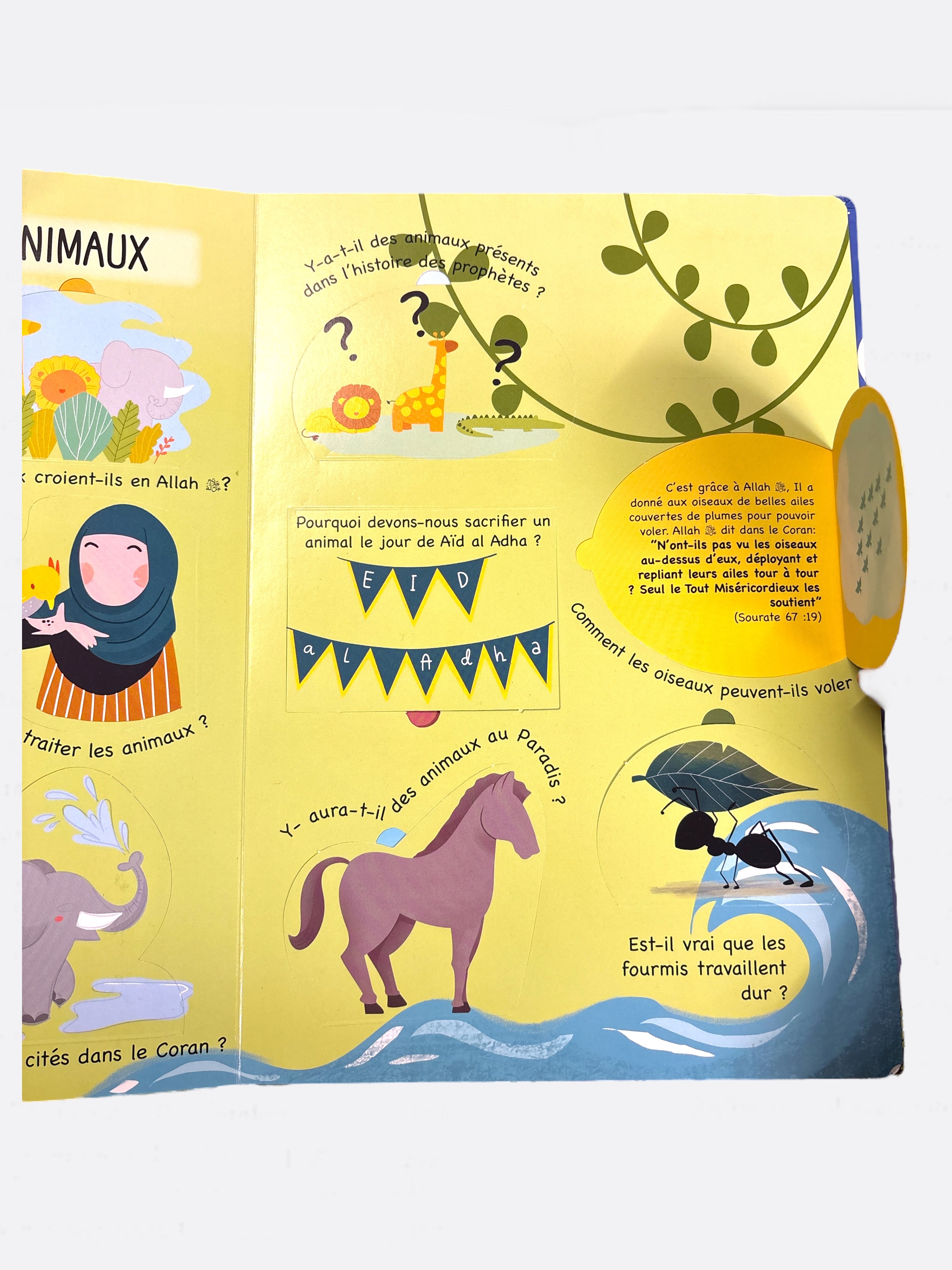 Mon Livre de Faits et Flaps sur l'Islam - Edition Hadieth Benelux