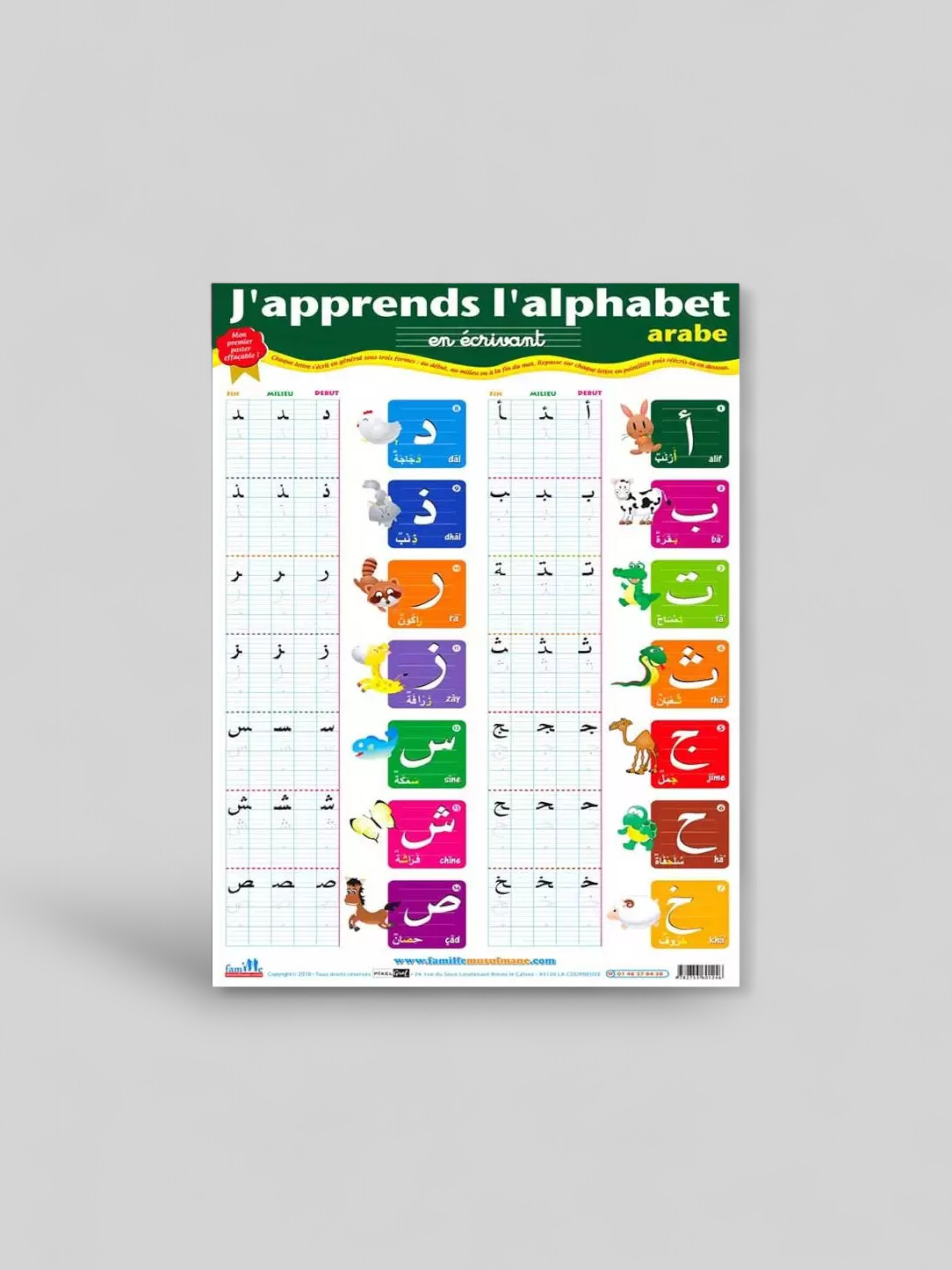 Poster - Affiche effaçable : J'apprends l'Alphabet Arabe