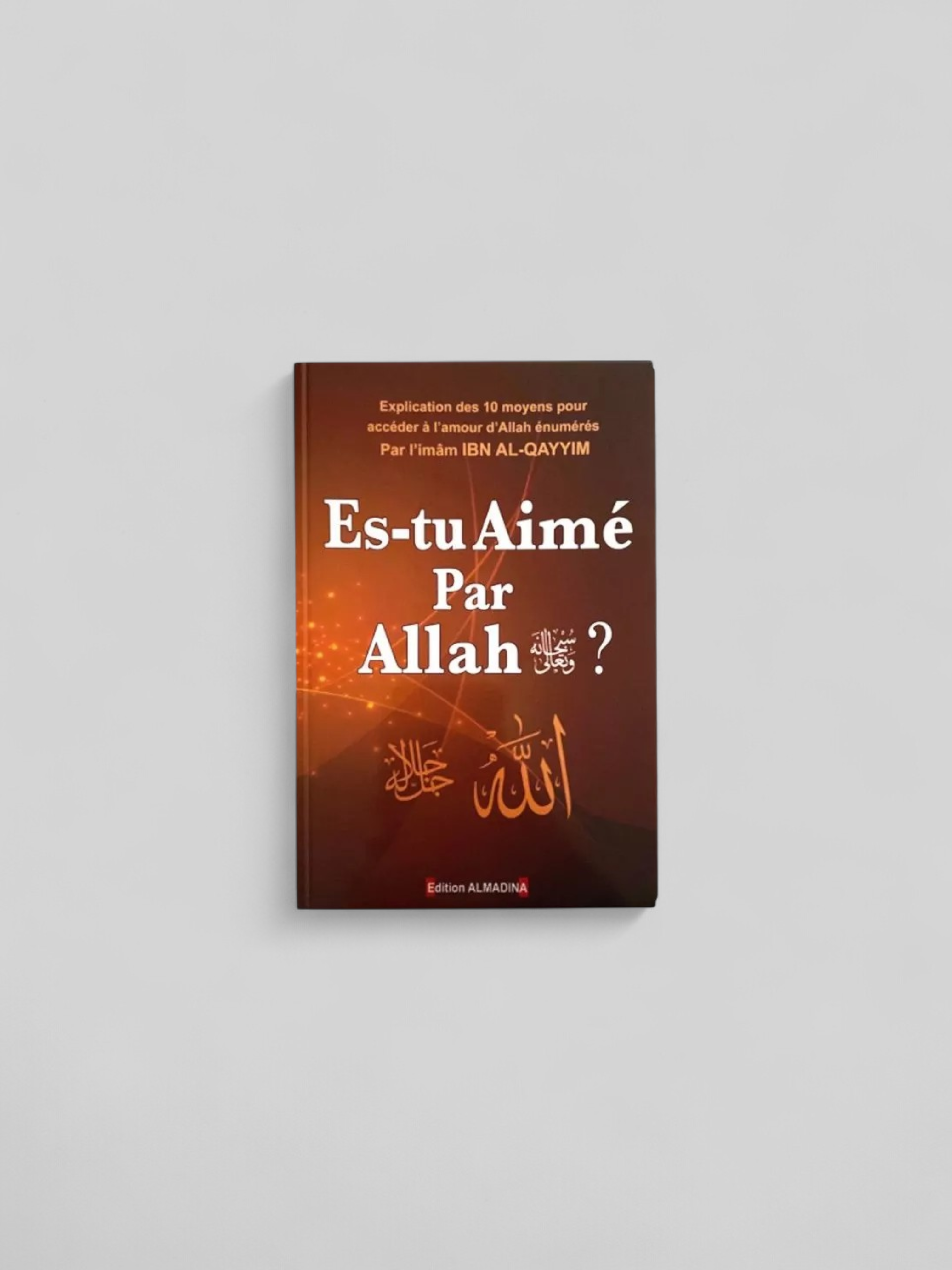 Es-tu Aimé par ALLAH ? : 10 Moyens pour accéder à l'amour d'ALLAH ﷻ par Ibn Al Qayyim