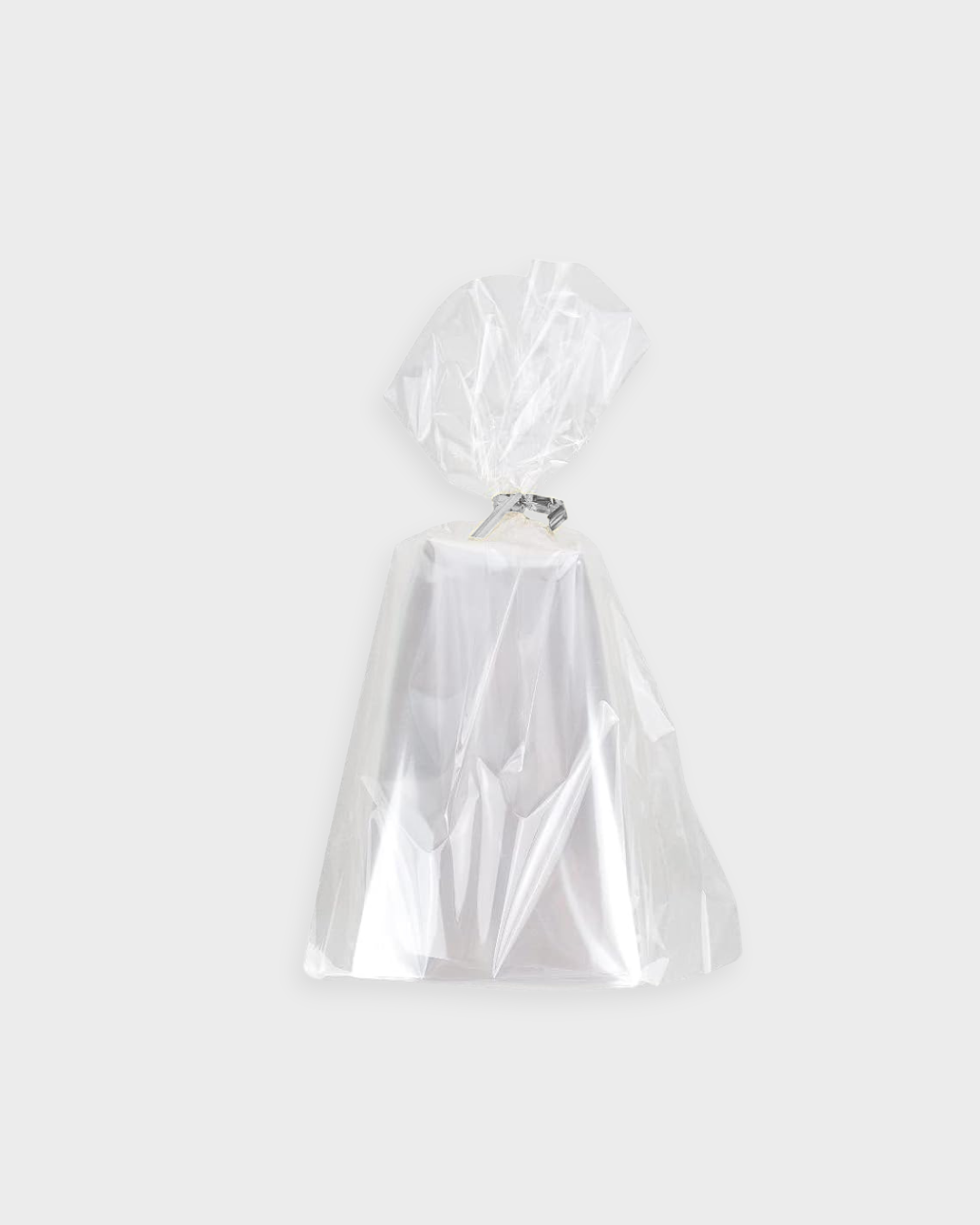 Lot de 25 sachets de bonbon rectangle transparent