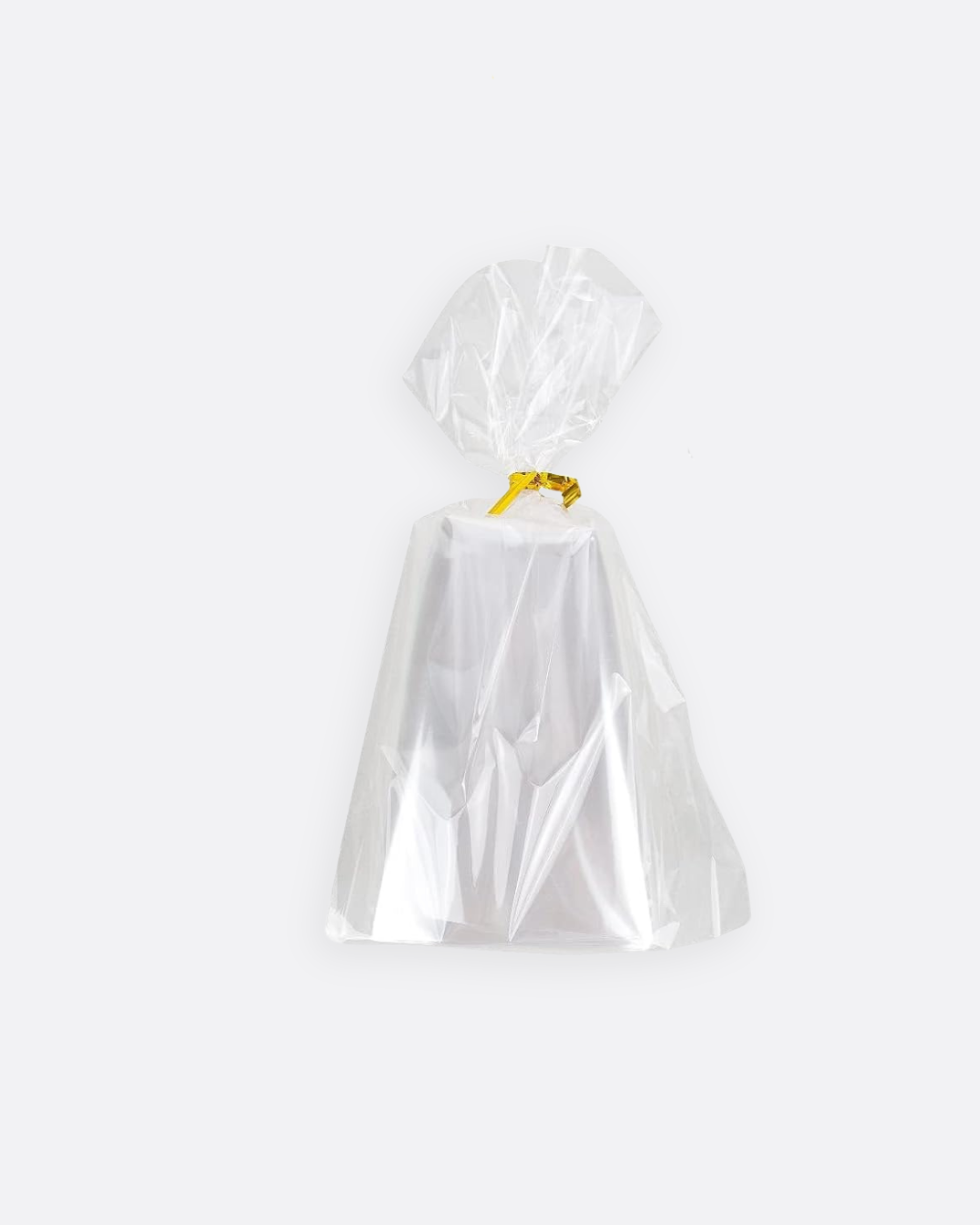 Lot de 25 sachets de bonbon rectangle transparent