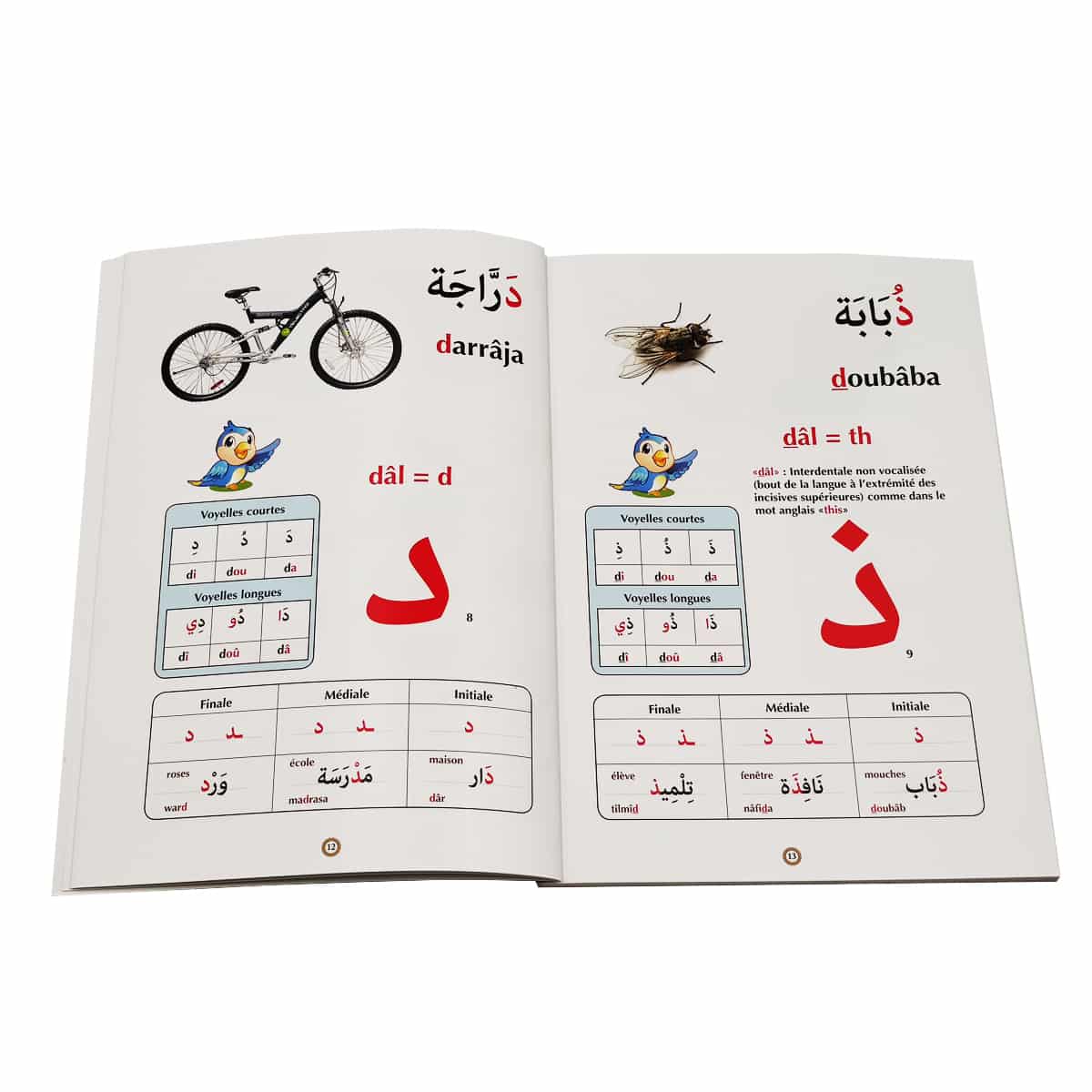 Apprendre l'arabe : Méthode Intensive Pour Les Francophones