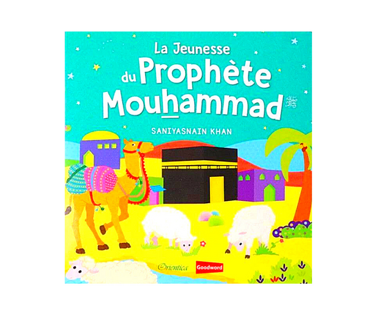 La Jeunesse du Prophète Mouhammed – produit proposé sur Souk Dubaï